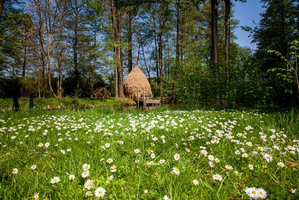 Hotel Zum Stern Spreewald Werben  Exteriér fotografie